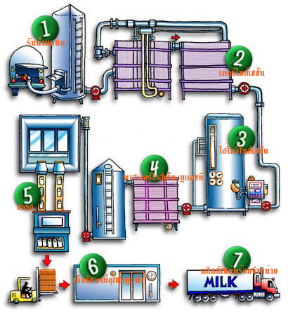 milk-process