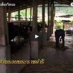 ตามรอยพระราชดำริ