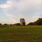 IMG_20150816_181322