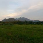 IMG_20150816_181703