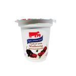 Youghurt120g mulberry