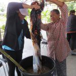 06042559_kk_15