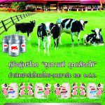 จุลสาร สุขภาพดีคุณเลือกได้ประจำเดือนเมษายน 2559