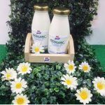 น้ำนมโคพาสเจอร์ไรส์ออร์แกนิค