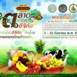 14064259_1657678807883486_5969068546097269955_n