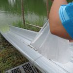 IMG_8154