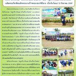ฉ.7 สค.59 ปั่นจักรยาน+ปลูกข้าว หน้า 2