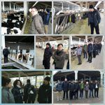 21BAB946-051D-4FE9-B073-41A308FB1C64