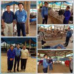 8A6FFB10-FC4F-43EE-95CF-1A7C15D6D25E