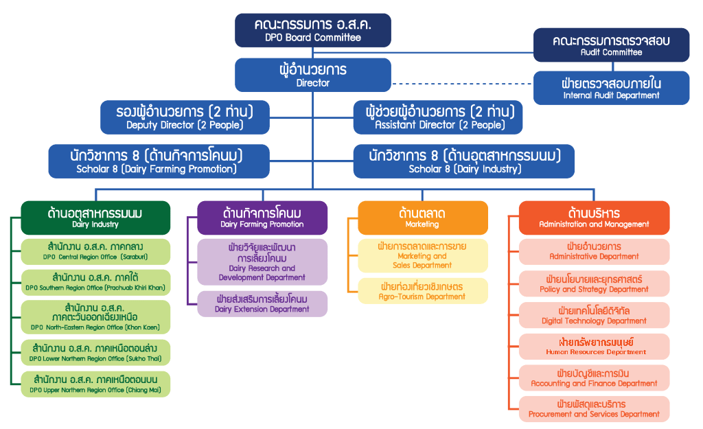 org structor 1024x6256 1