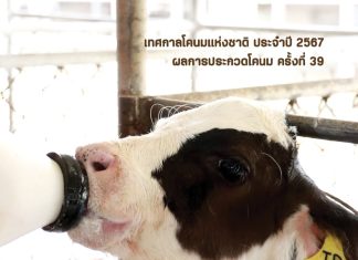 Dairy Journal 41 2 Cover