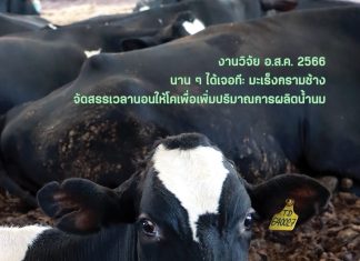 Dairy Journal 41 3 Cover