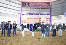 ฝ่ายส่งเสริมการเลี้ยงโคนม เป็นประธานในพิธีมอบรางวัล การประกวดโคนม ประเภทที่ 4 S 4554773