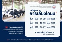 เปิดอบรมหลักสูตรฝึกอบรมการเลี้ยงโคนม 2 หลักสูตร ระหว่างเดือนตุลาคม 2568 – เดือนกันยายน 2569 2026 DR