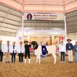 ประธานกรรมการ อ.ส.ค. ให้เกียรติเป็นประธานในพิธีมอบรางวัล การประกวดโคนม ประเภทที่ 1 โคนมอายุระหว่าง 12-15 เดือน S 123559957