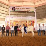 ฝ่ายส่งเสริมการเลี้ยงโคนม เป็นประธานในพิธีมอบรางวัล การประกวดโคนม ประเภทที่ 2 โคนมอายุระหว่าง 15-18 เดือน S 123617300