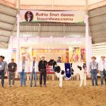 มอบรางวัล การประกวดโคนม ประเภทที่ 3 โคนมอายุระหว่าง 18-21 เดือน S 123617318