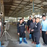 ประธานกรรมการ อ.ส.ค. ลงพื้นที่พบปะเกษตรกรผู้เลี้ยงโคนม ภาคเหนือตอนล่าง S 3129384