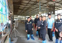 ประธานกรรมการ อ.ส.ค. ลงพื้นที่พบปะเกษตรกรผู้เลี้ยงโคนม ภาคเหนือตอนล่าง S 3129384