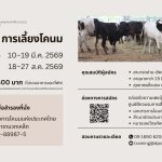Training 2026 01
