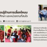 Training 2026 06