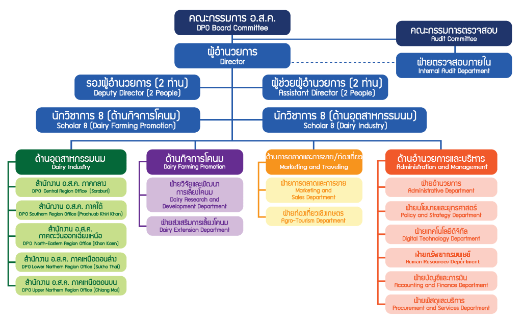 org structor